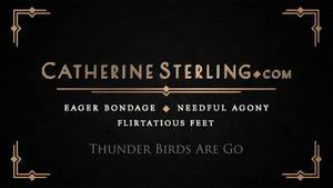 www.catherinesterling.com - 0288 Thunder Birds Are Go thumbnail